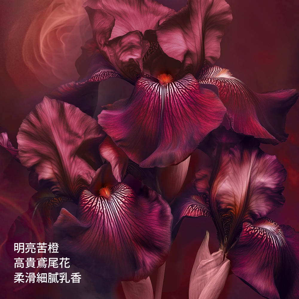 紫蝴蝶琥珀香水禮盒