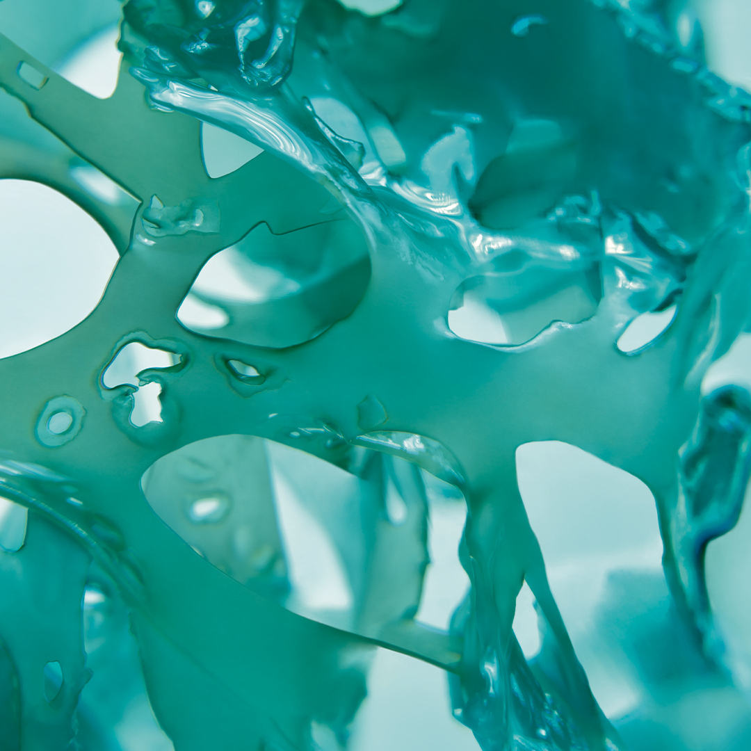 Moisturizing Solid Shower Gel Wild Algae & Sea Fennel 100G