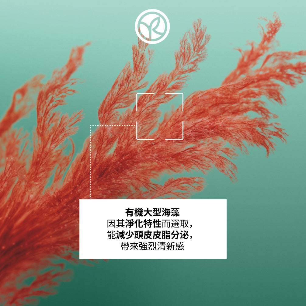 海藻淨化控油洗髮露補充裝 600ml