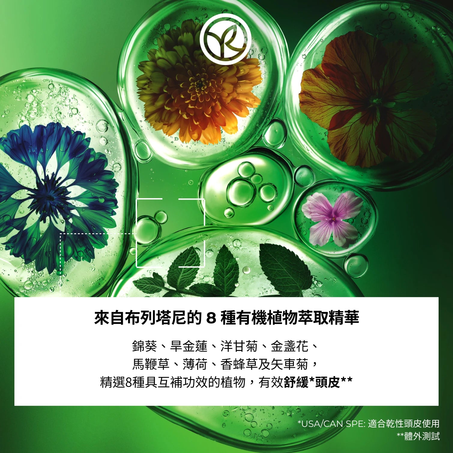 頭皮修護精華 50ml