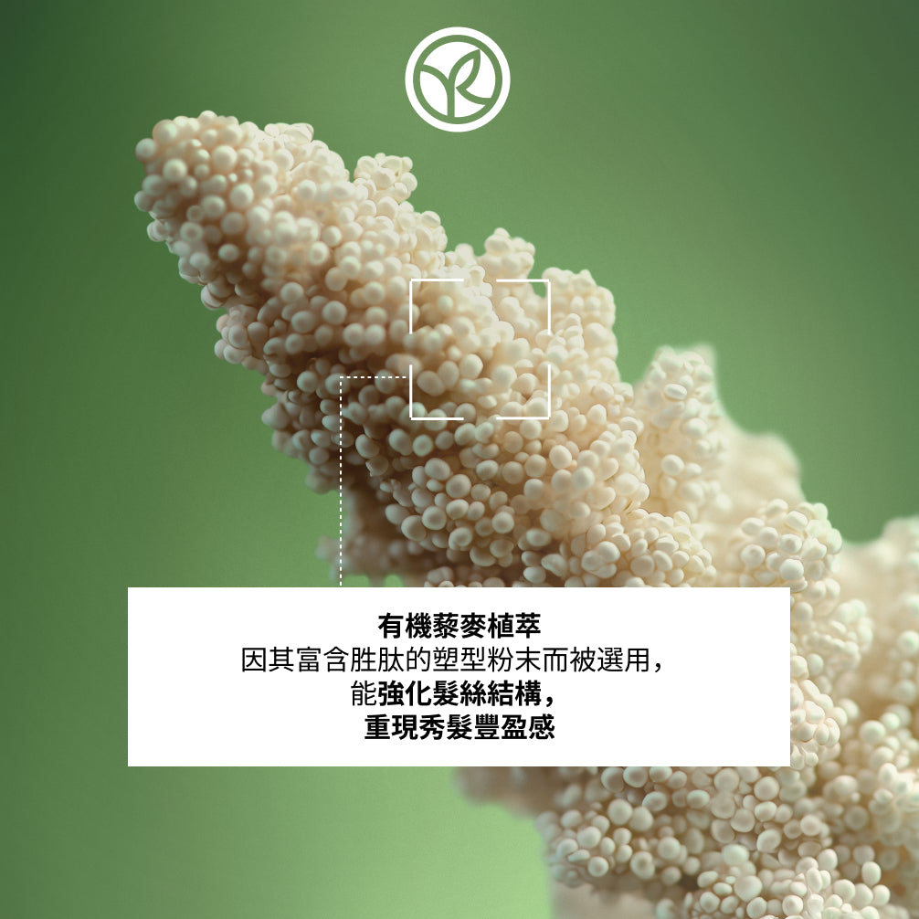 Plumping Conditioner 200ML
