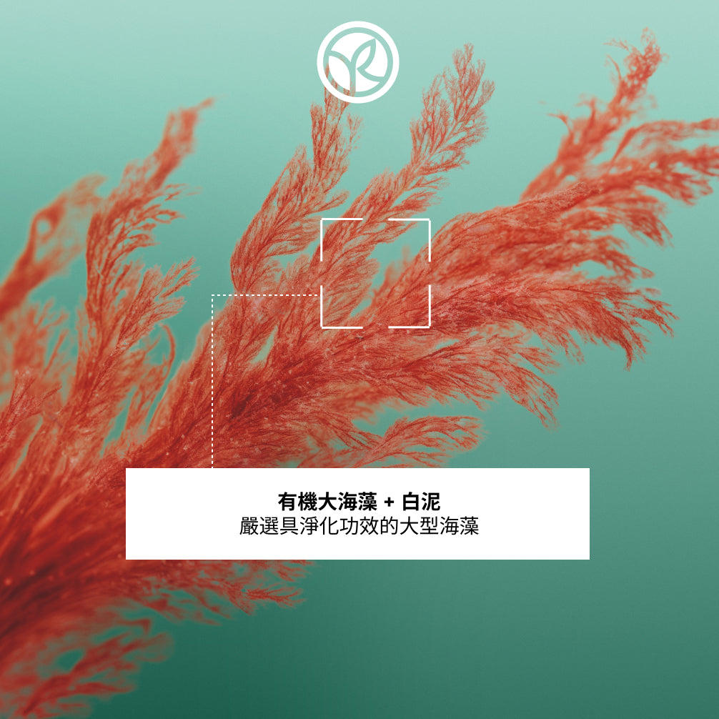 Scalp Exfoliating Mask 200ML