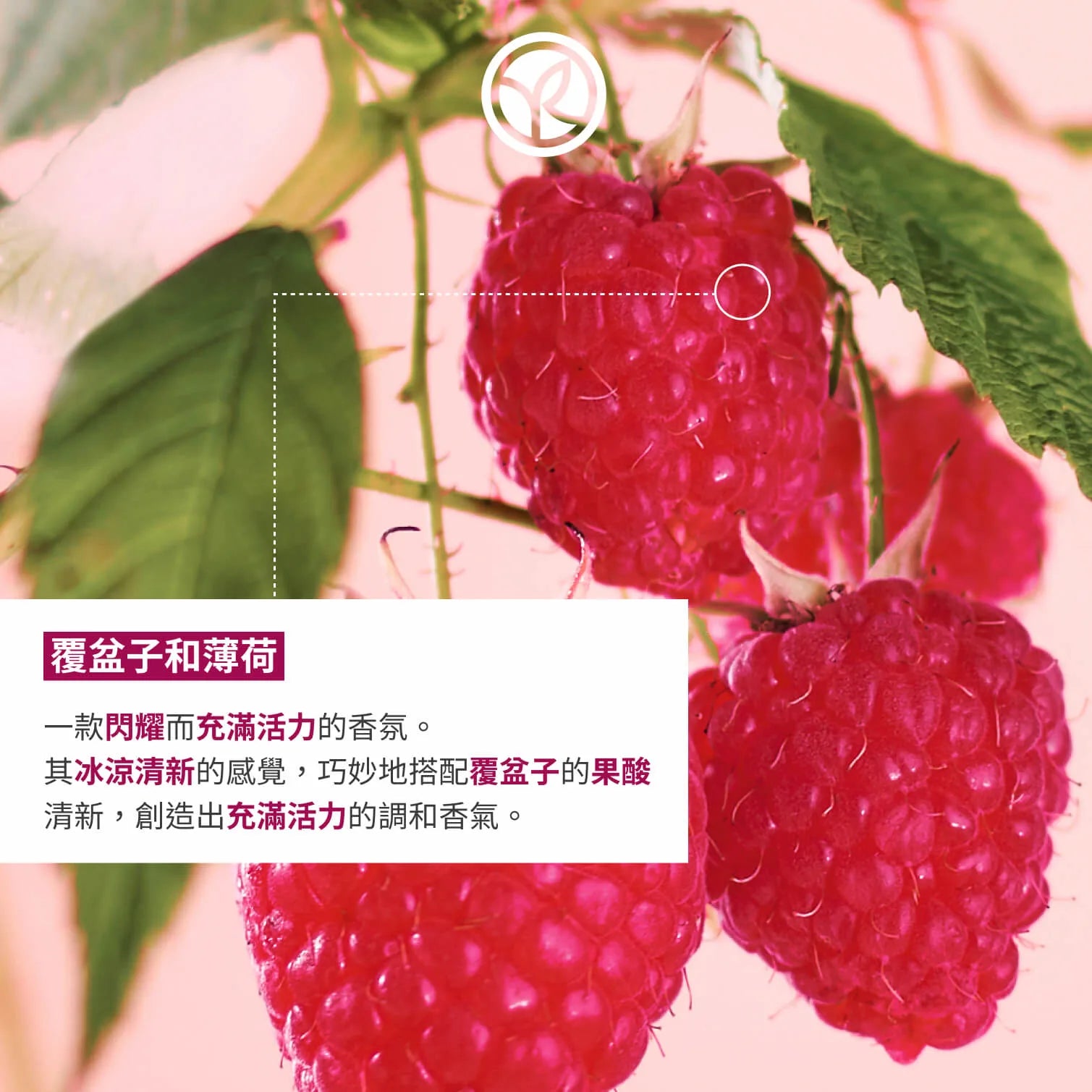 Raspberry & Peppermint Shower gel 400ml
