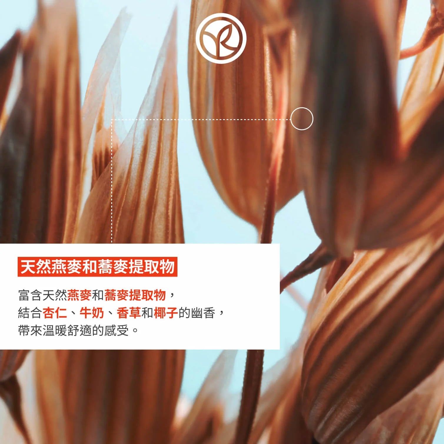 燕麥奶蕎麥潤膚露 390ml