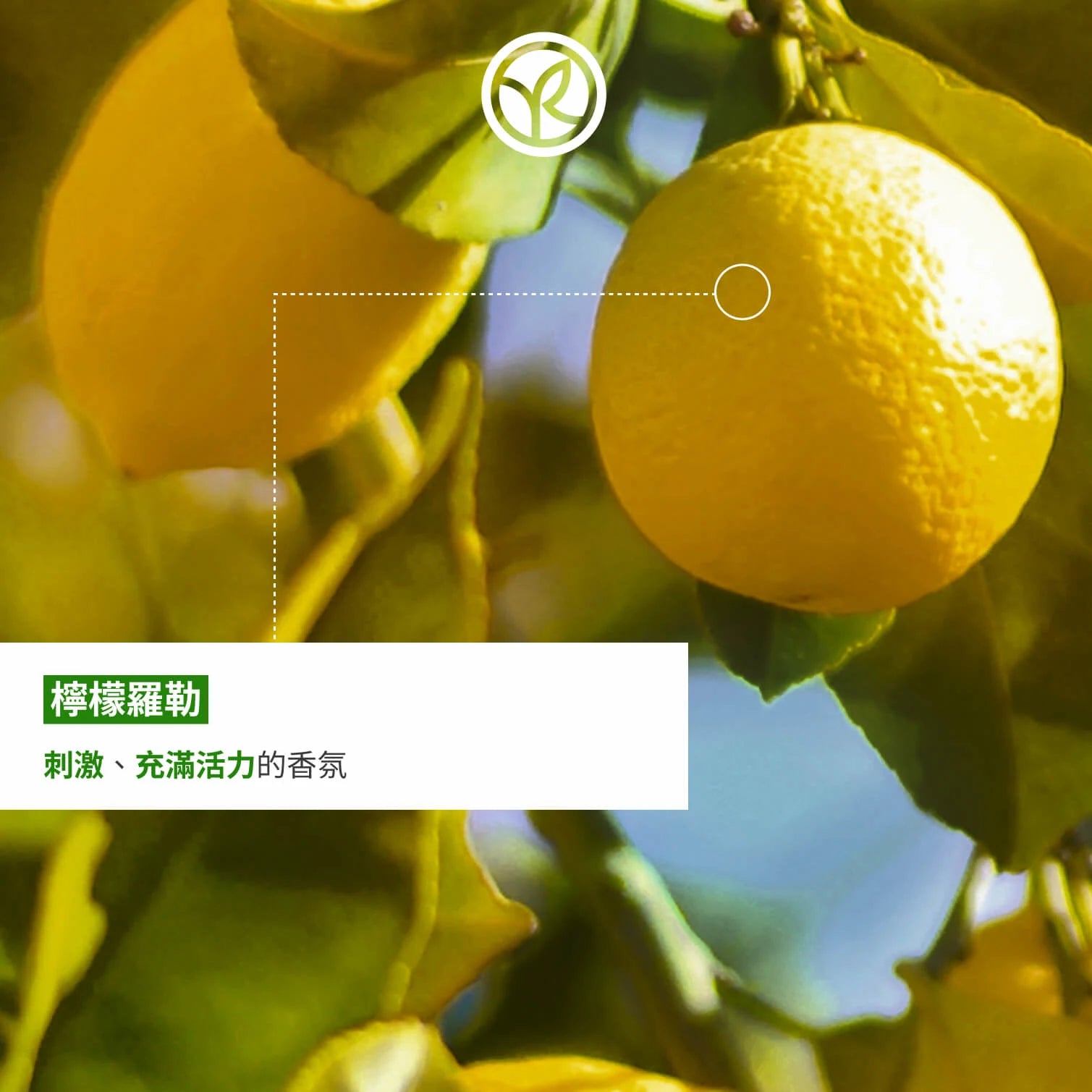 Lemon & Basil Shower Gel 400ml