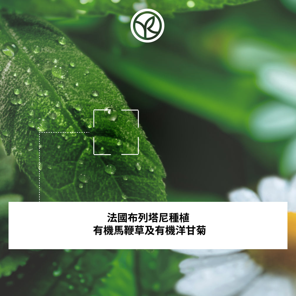 馬鞭草洋甘菊潔手液 190ml