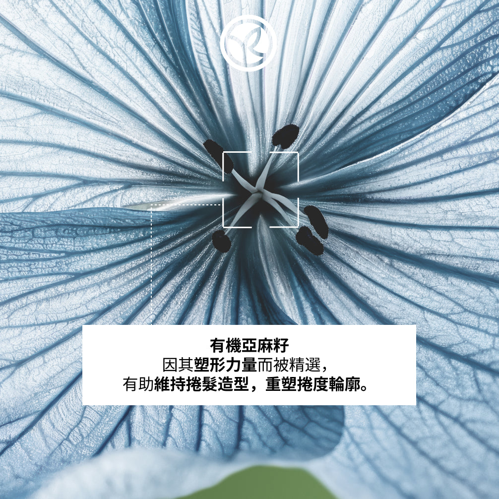 亞麻籽曲髮修護洗髮乳 300ml