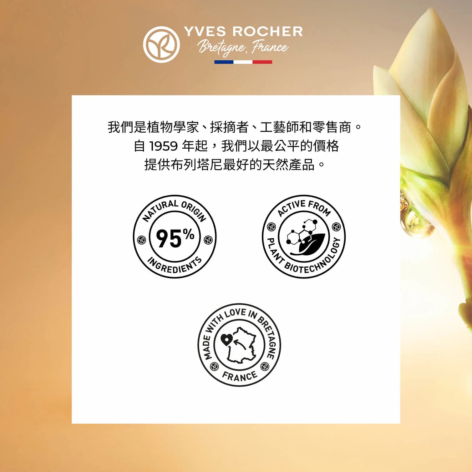 花萃幹細胞再生全效精華 50ml