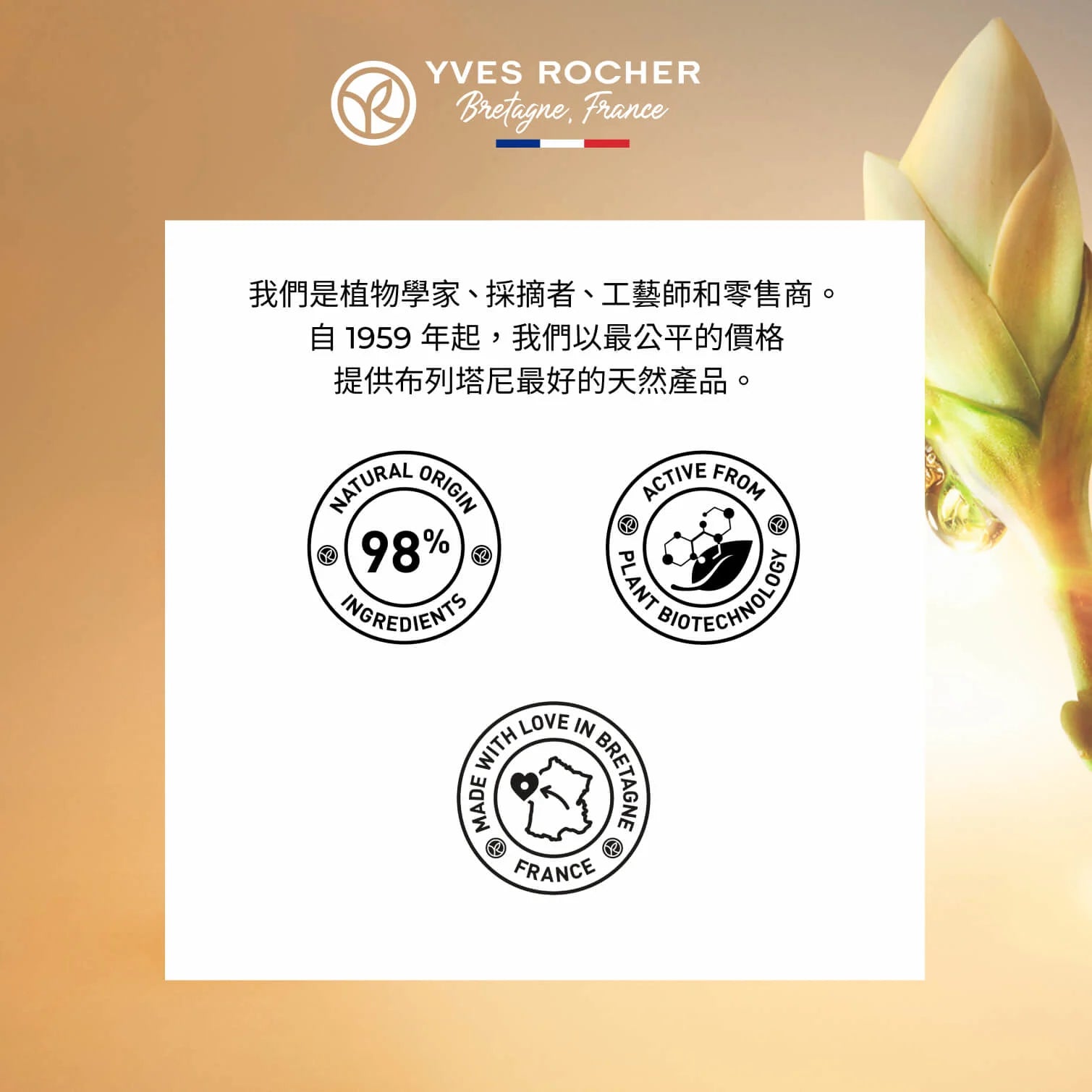 Anti-Age Global Bi-Phased Night Recovery Concentrate 30ml