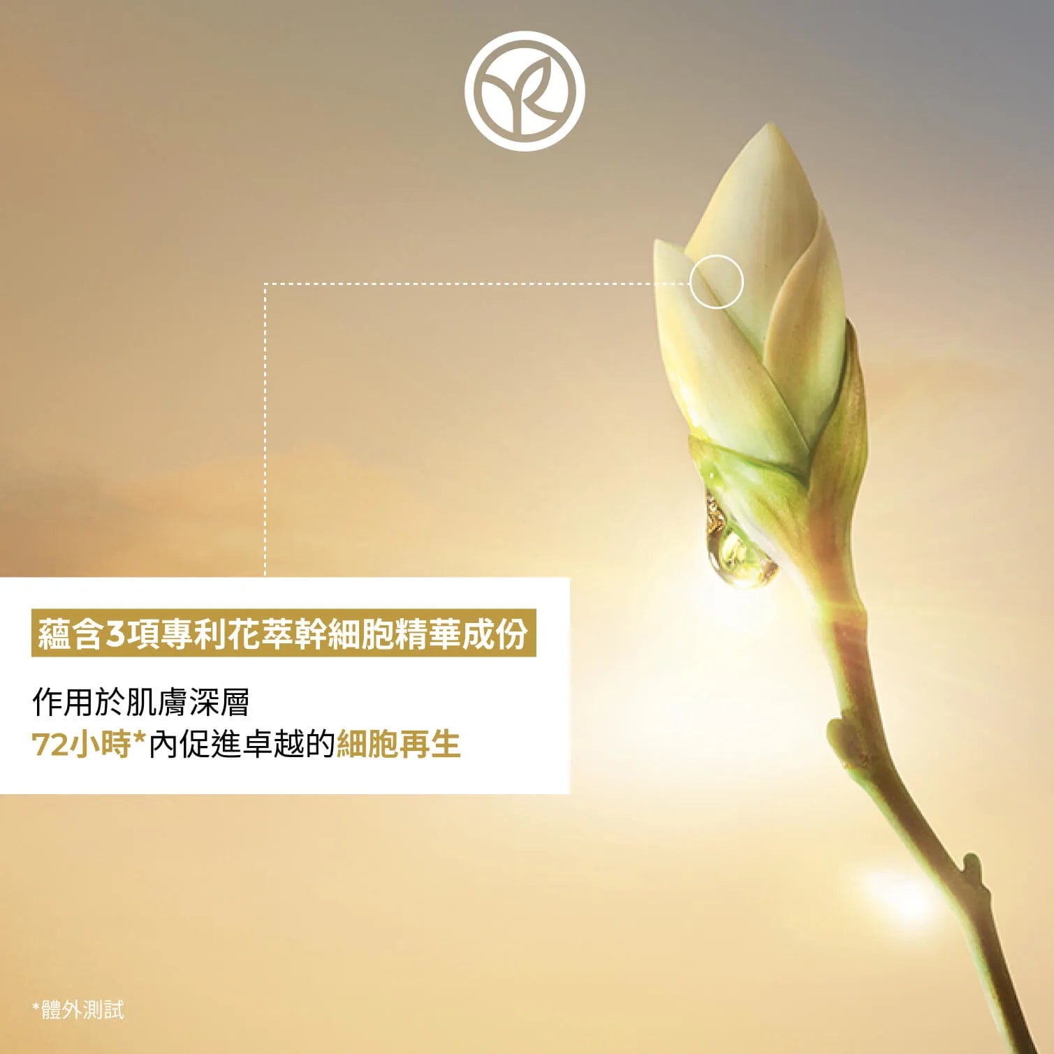 花萃幹細胞再生全效面膜霜 75ml