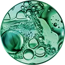 Succinic Acid