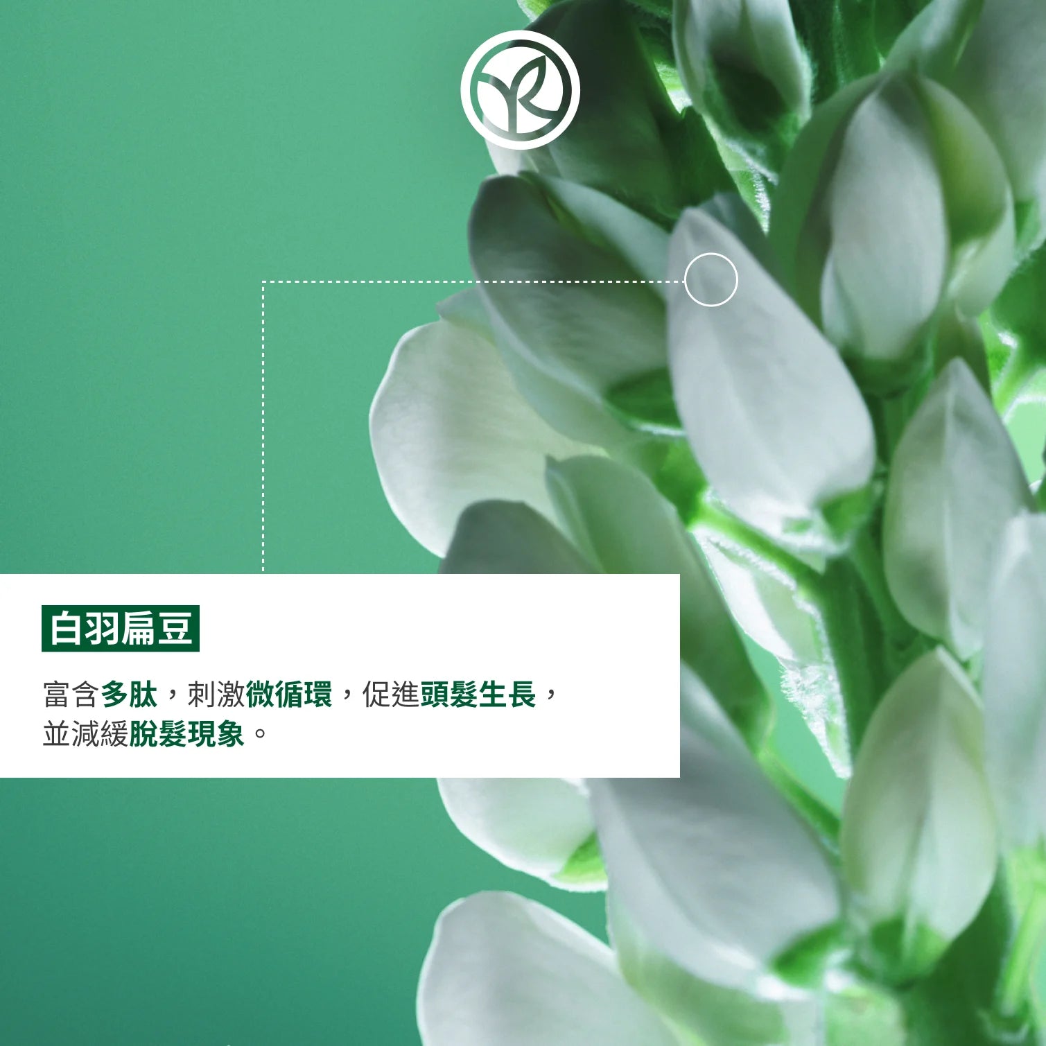 【皇牌】防脫育髮洗髮露套裝- 3支送旅行裝50ml*3