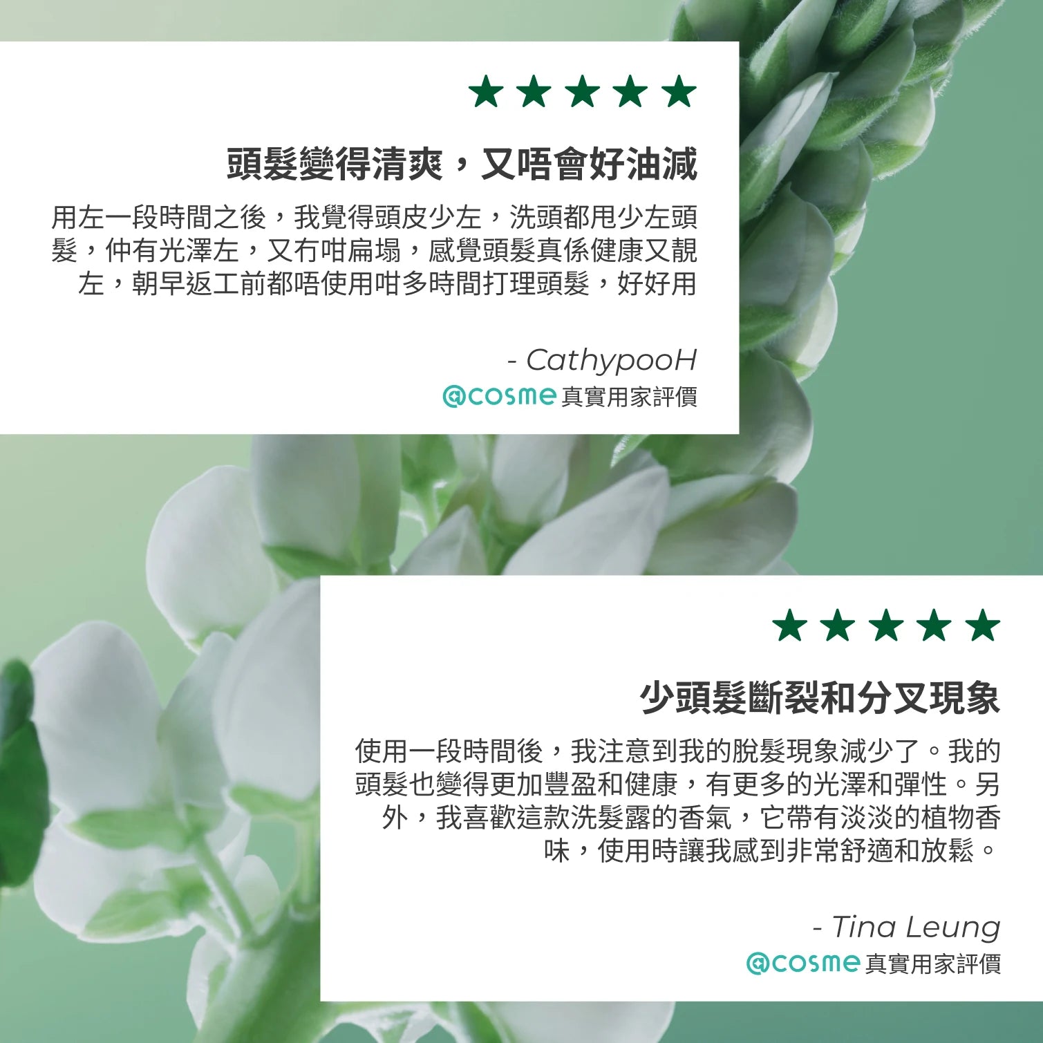 【皇牌】防脫育髮洗髮露套裝