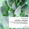 防脫育髮排毒亮澤套裝