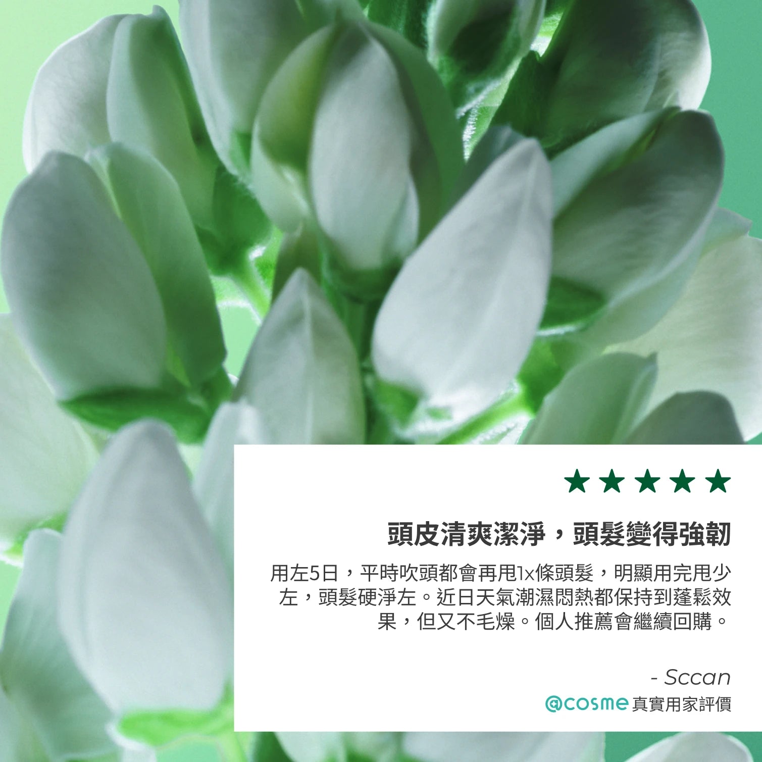 【皇牌】防脫育髮洗髮露套裝- 3支送旅行裝50ml*3