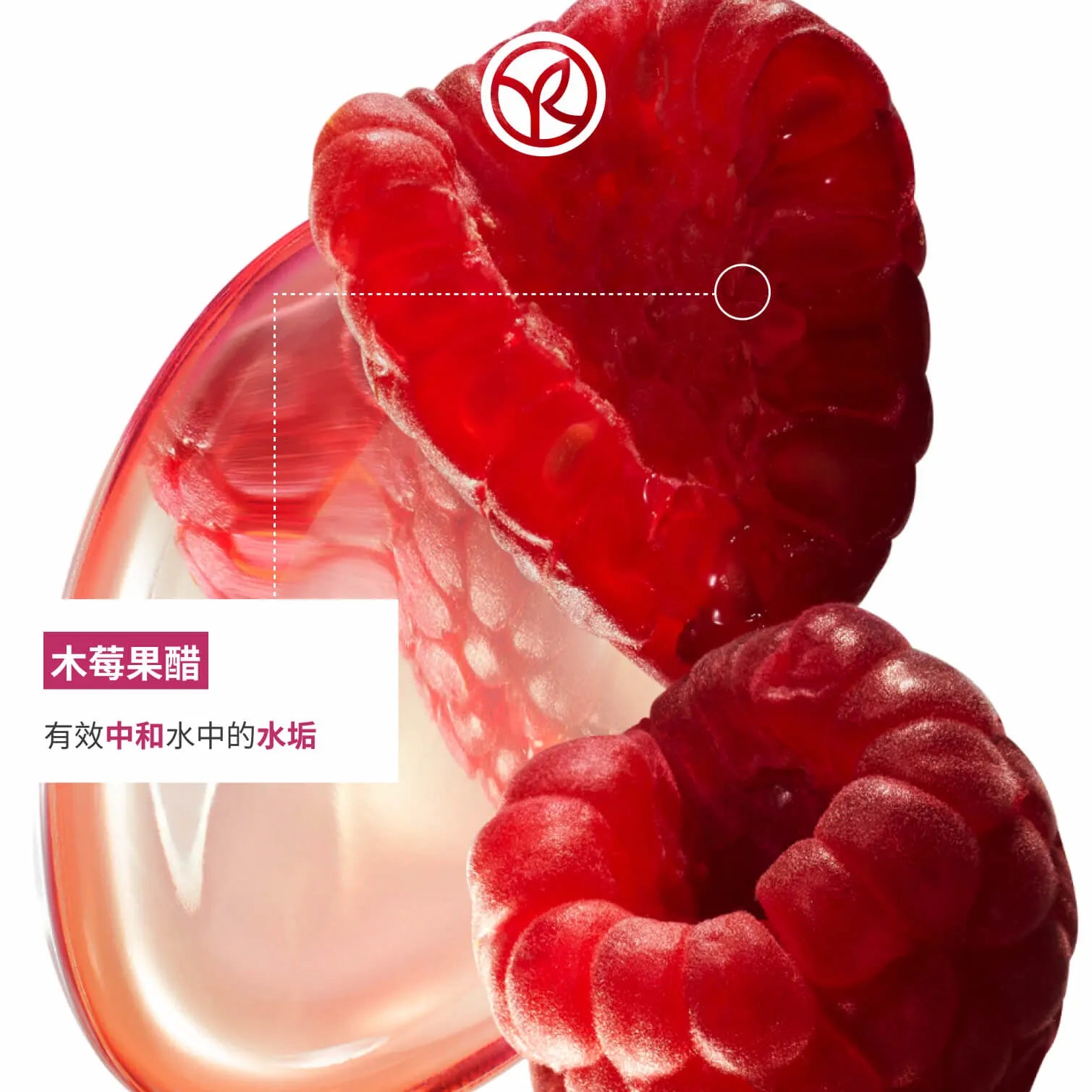木莓果醋鎖色亮澤護髮素 200ml