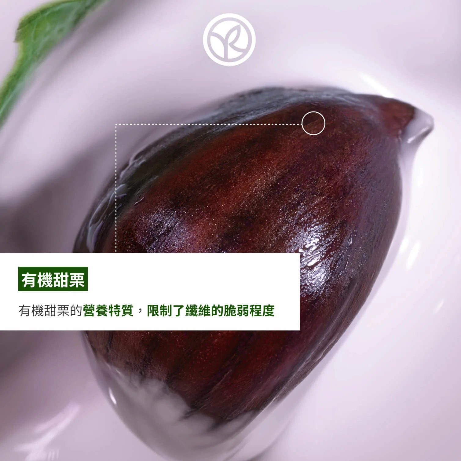 栗果溫和滋養順髮套裝