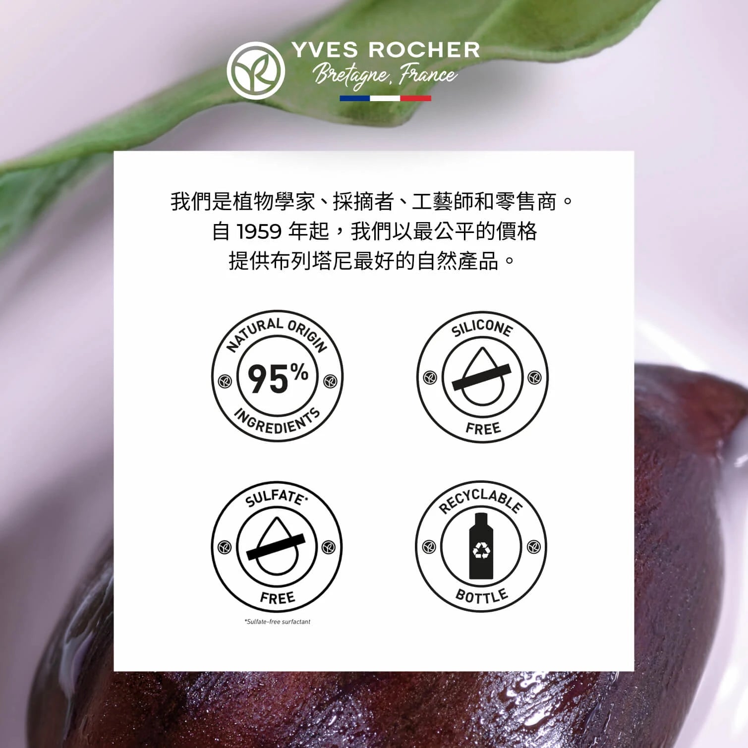 栗果溫和滋養洗髮乳 300ml