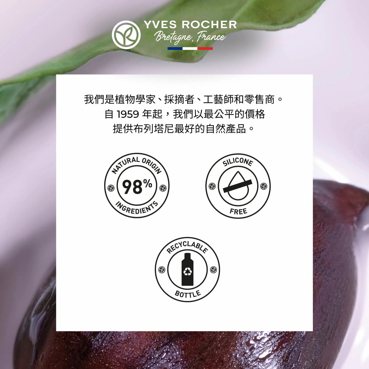 栗果溫和滋養順髮精華 150ml