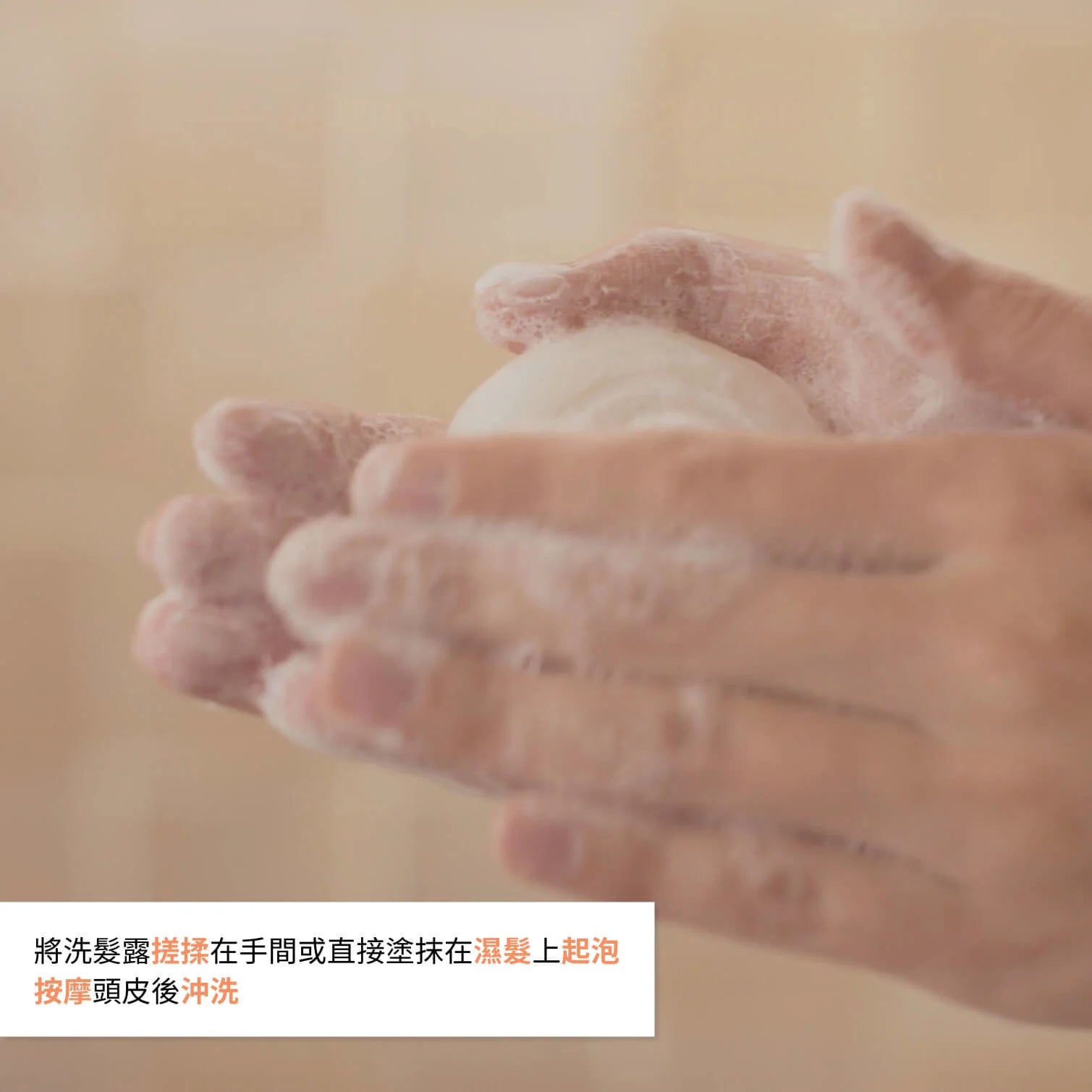 Nutrition Shampoo Bar 60G