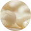 The Botanical White Seed