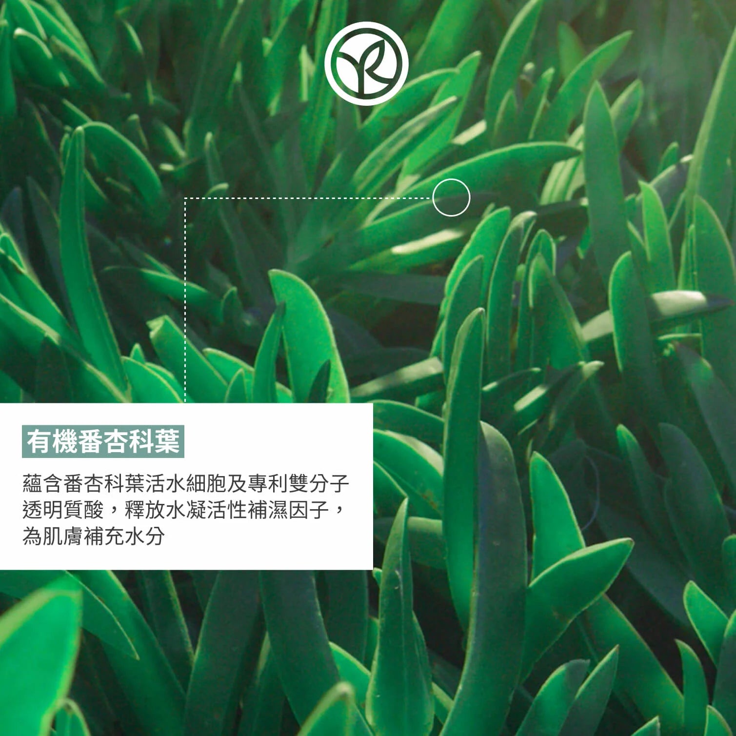 100H鎖水潔面保濕套裝