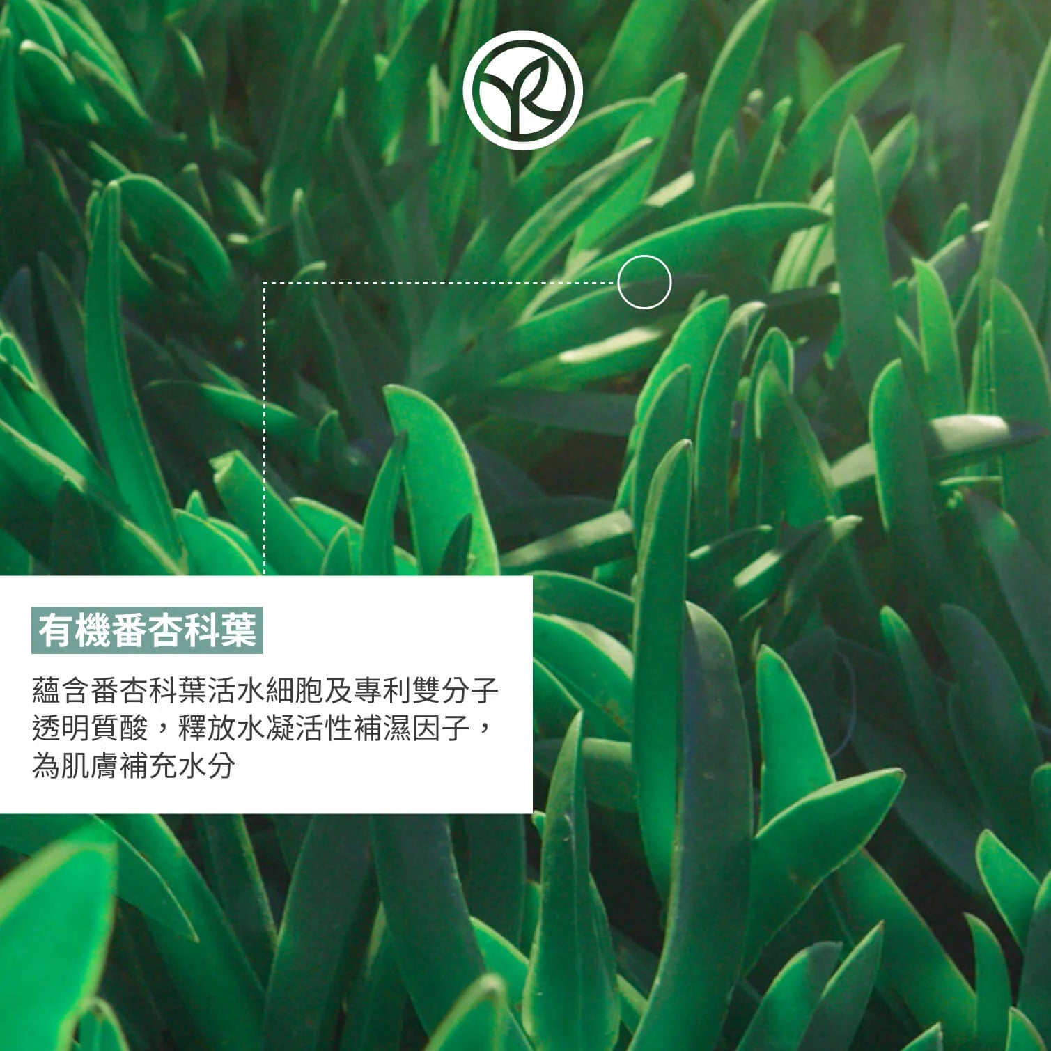 注氧磨砂急救補水組合