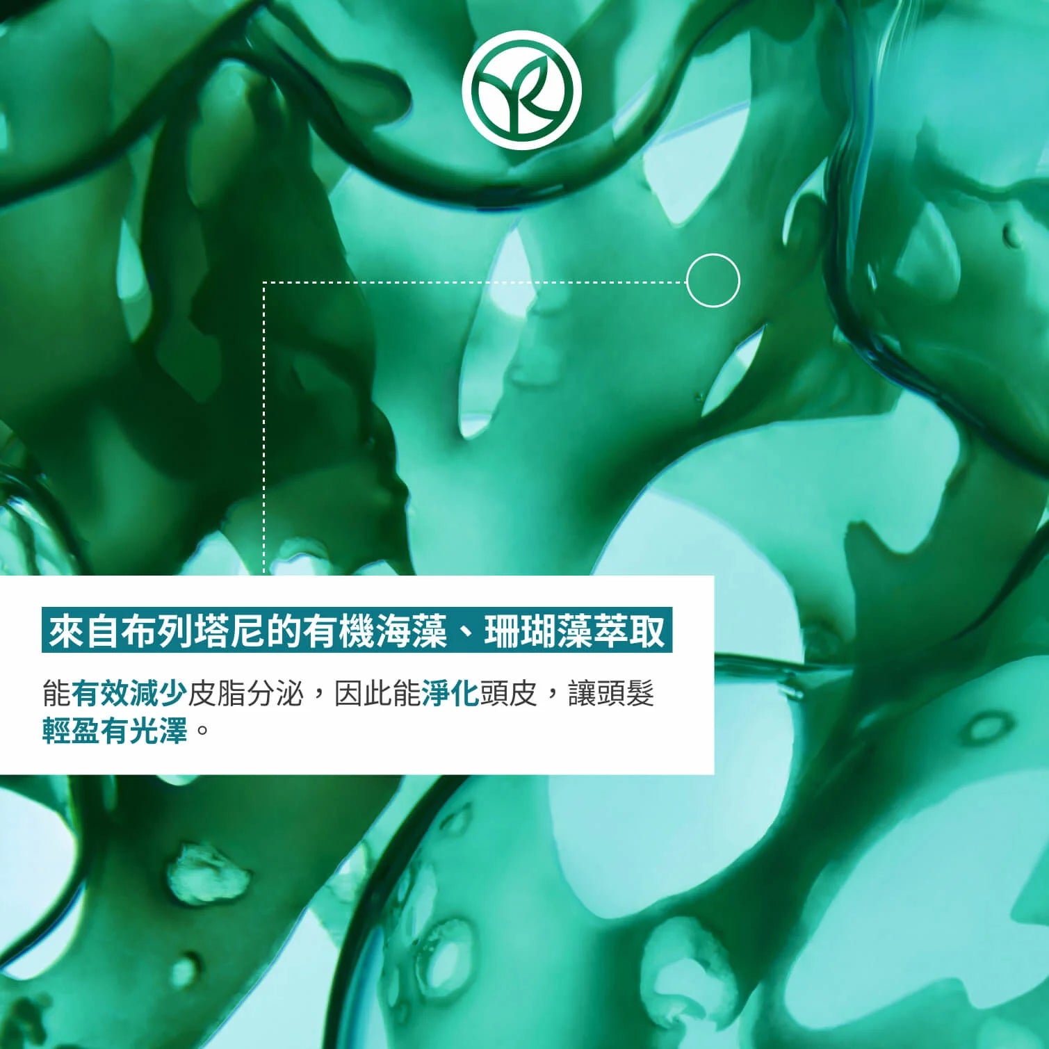海藻排毒控油護髮素 200ml