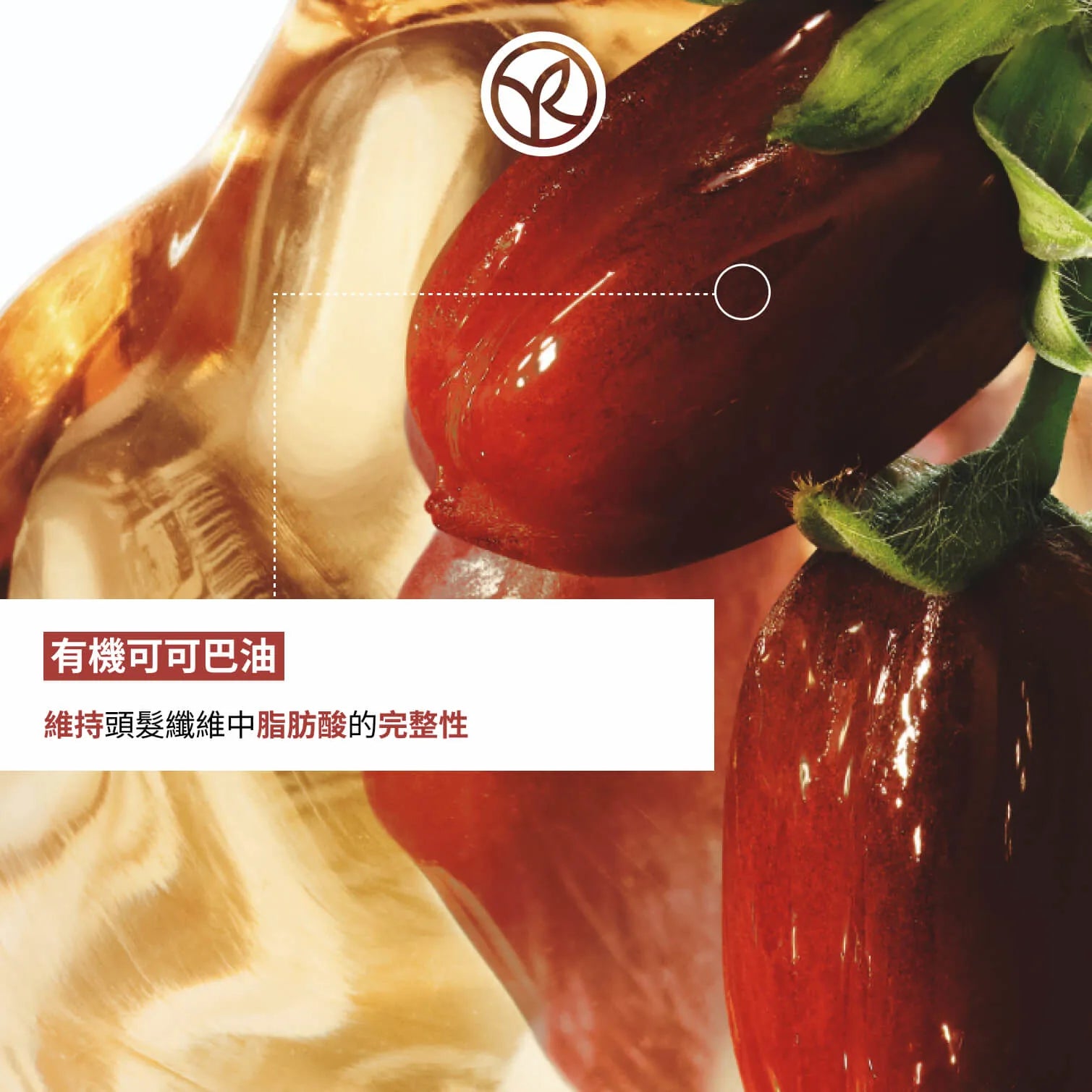 可可巴深層修復精華 150ml