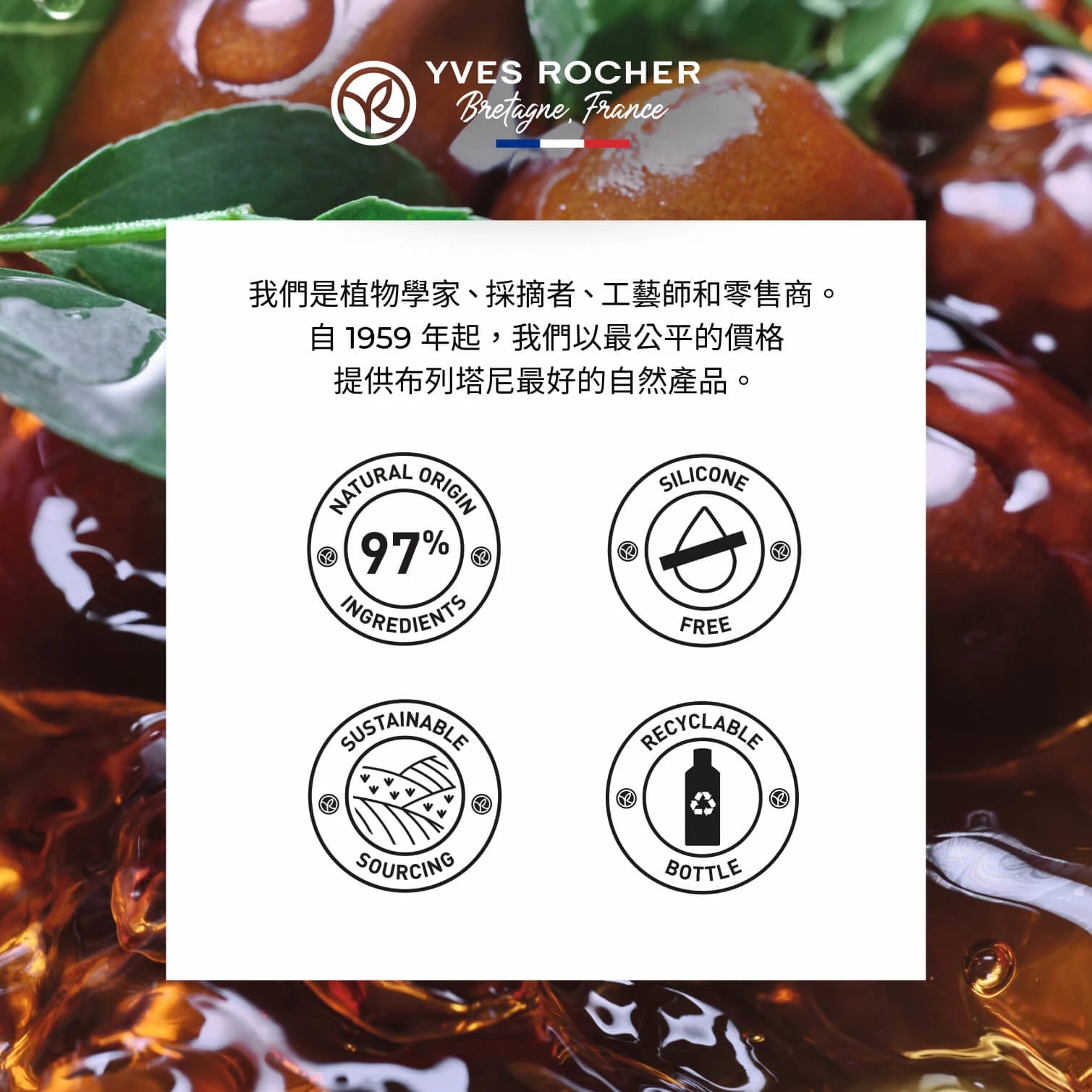 可可巴深層修復洗護套裝