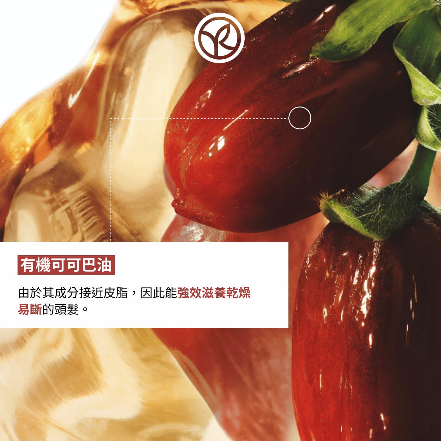可可巴深層洗髮修復套裝