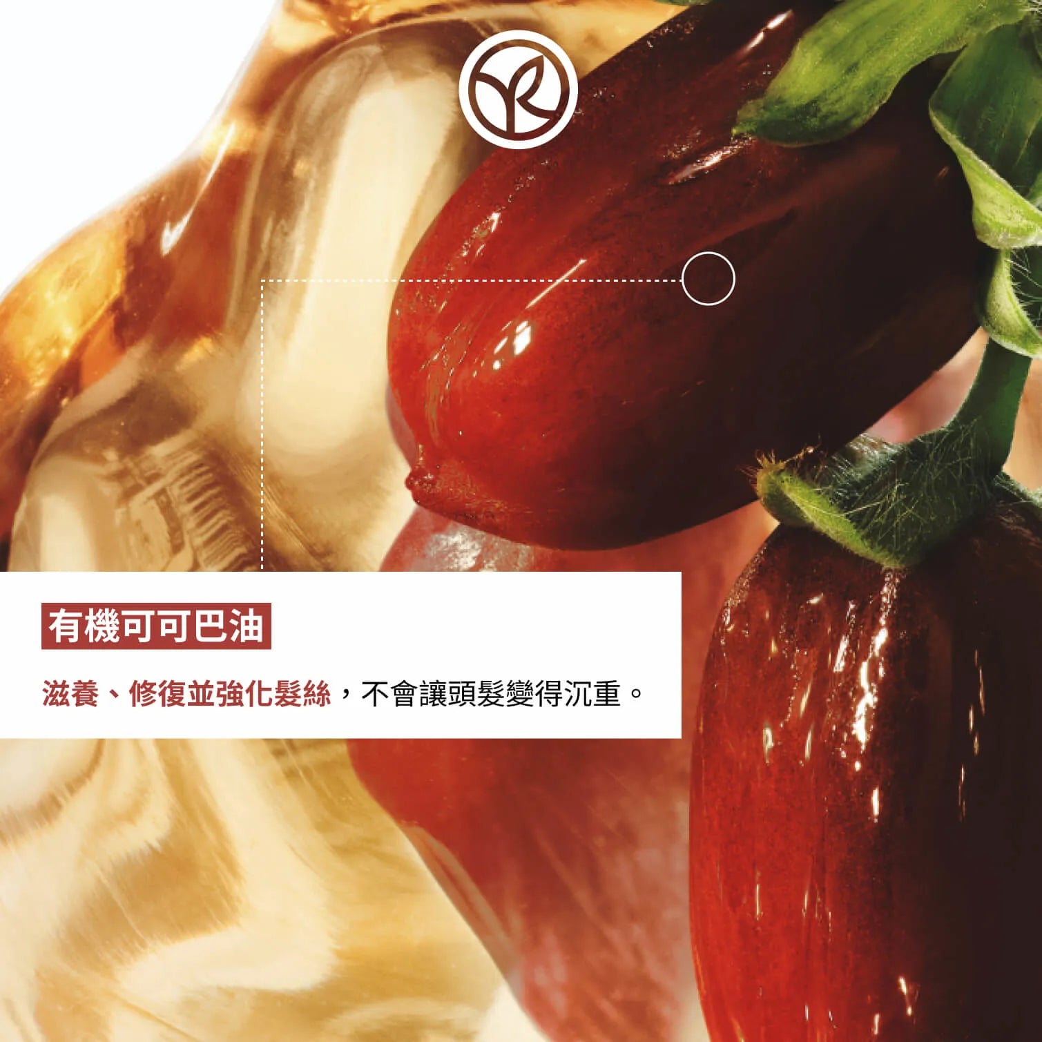 可可巴深層修復洗護套裝