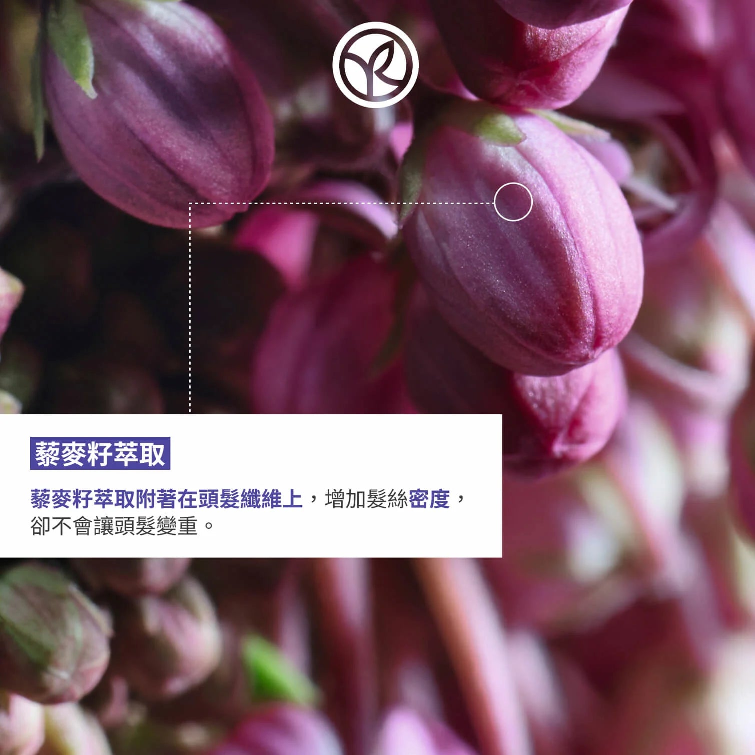 Volume Plumping Shampoo 300ml