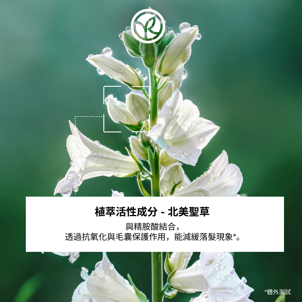 防脫豐盈精華 195ml