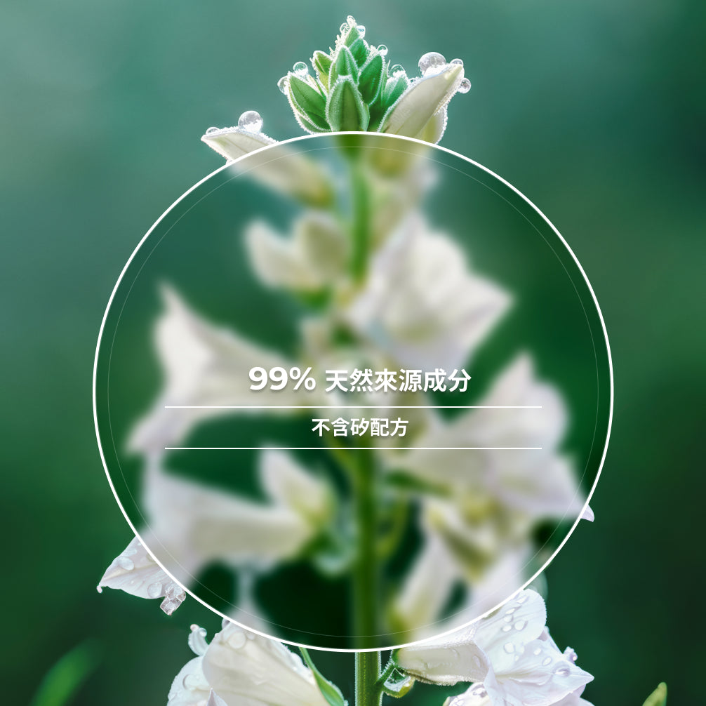 防脫豐盈精華 195ml