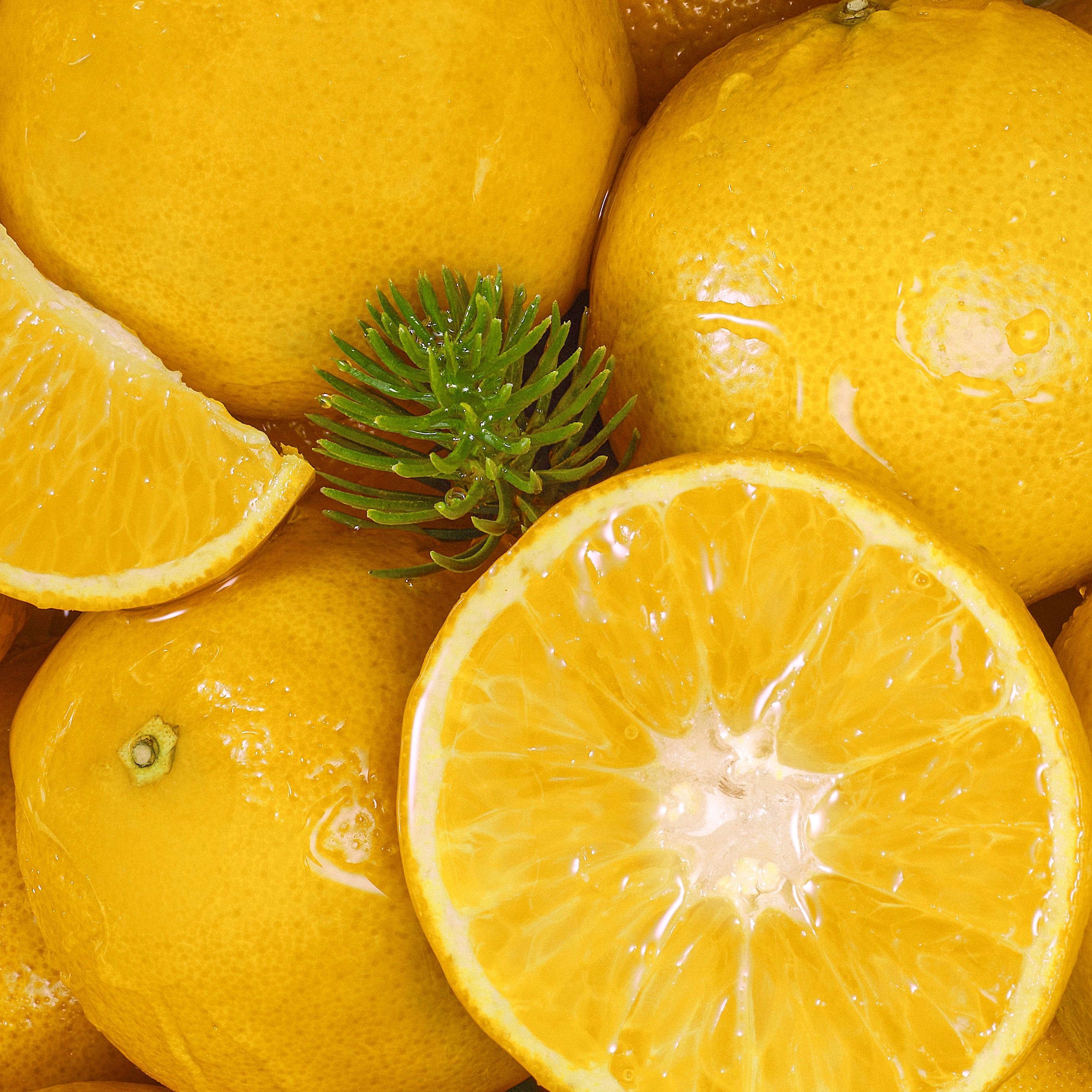 [聖誕限定] 橘香松木室內擴香瓶 190ml