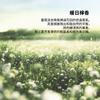 暖日檸香淡香水禮盒