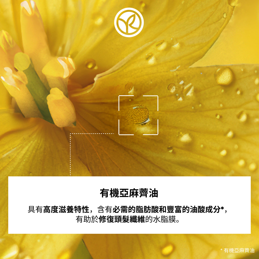 亞麻薺深層滋潤洗髮乳霜 250ml