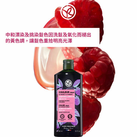 Color Purple Shampoo 300ml