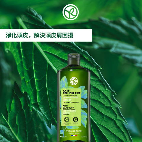 薄荷紅石榴抗屑洗髮露 300ml