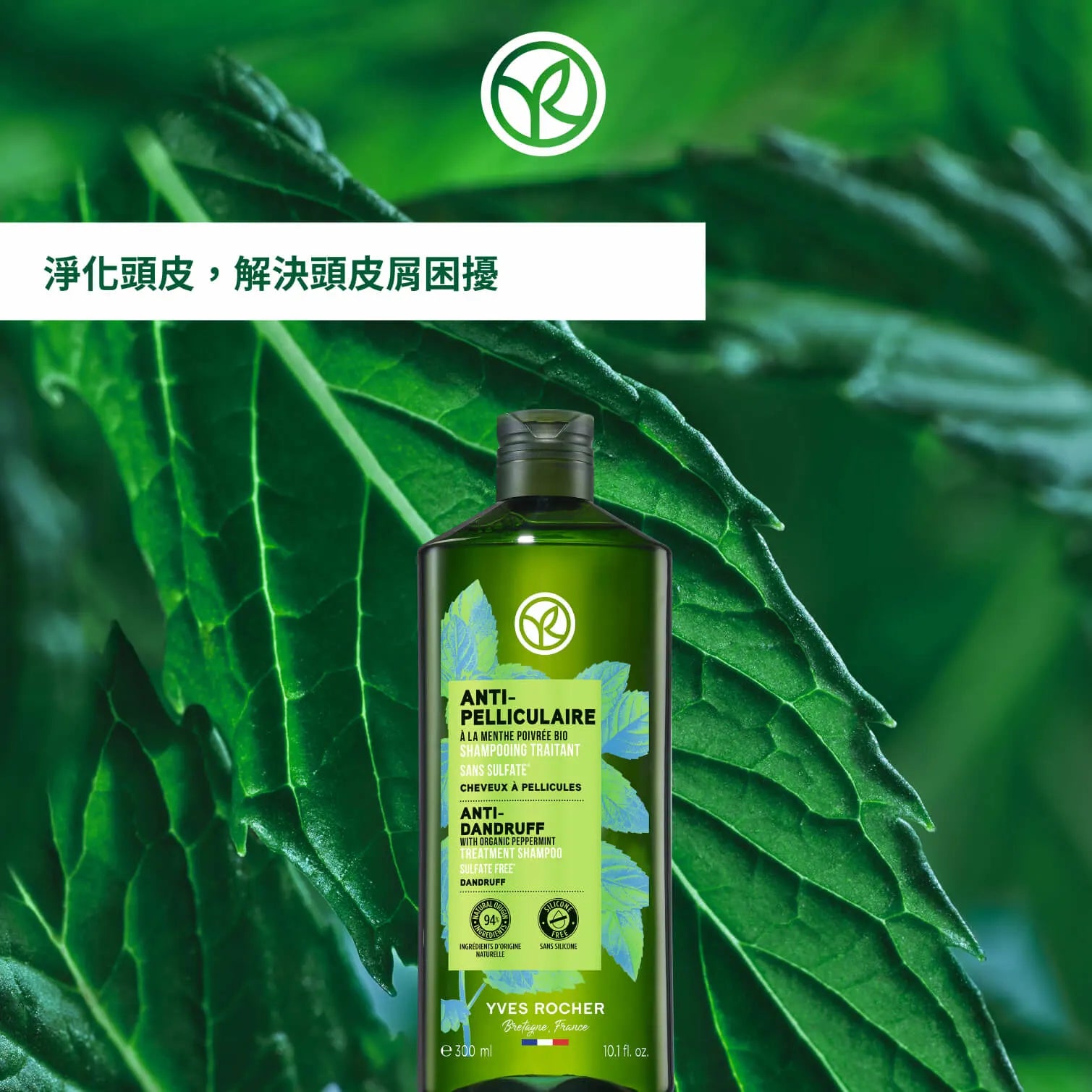 薄荷紅石榴抗屑洗髮露 300ml