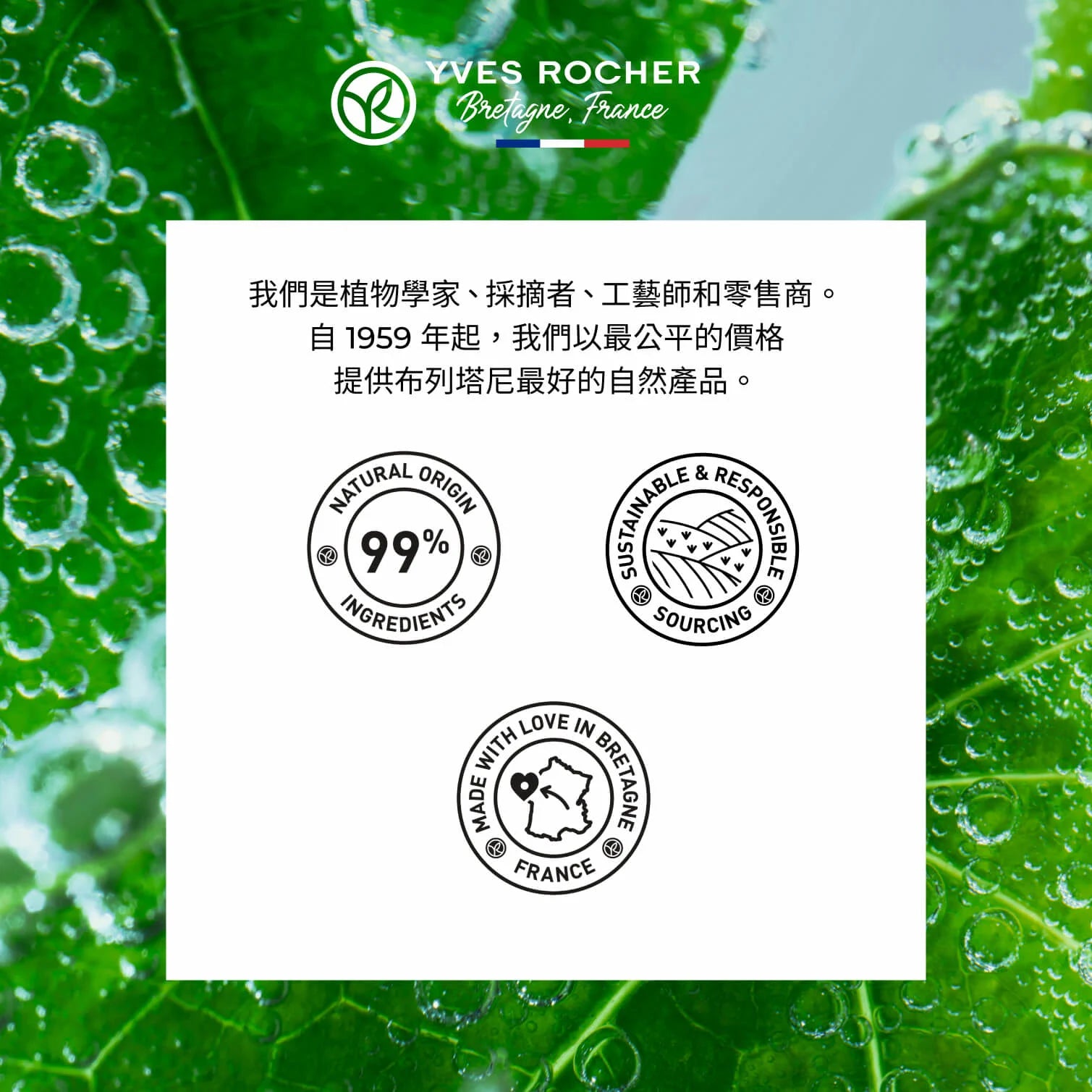 微海藻抗氧煥肌睡眠精華 30ML