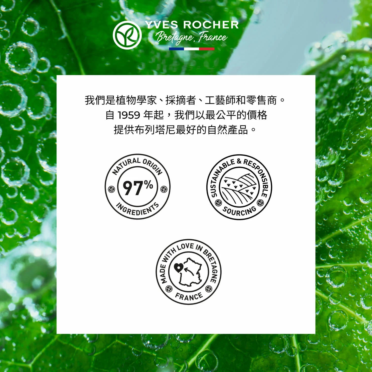 微海藻注氧煥肌眼霜 15ml