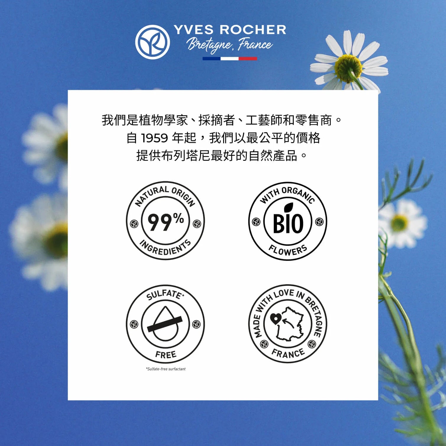 Nutrition Shampoo Bar 60G