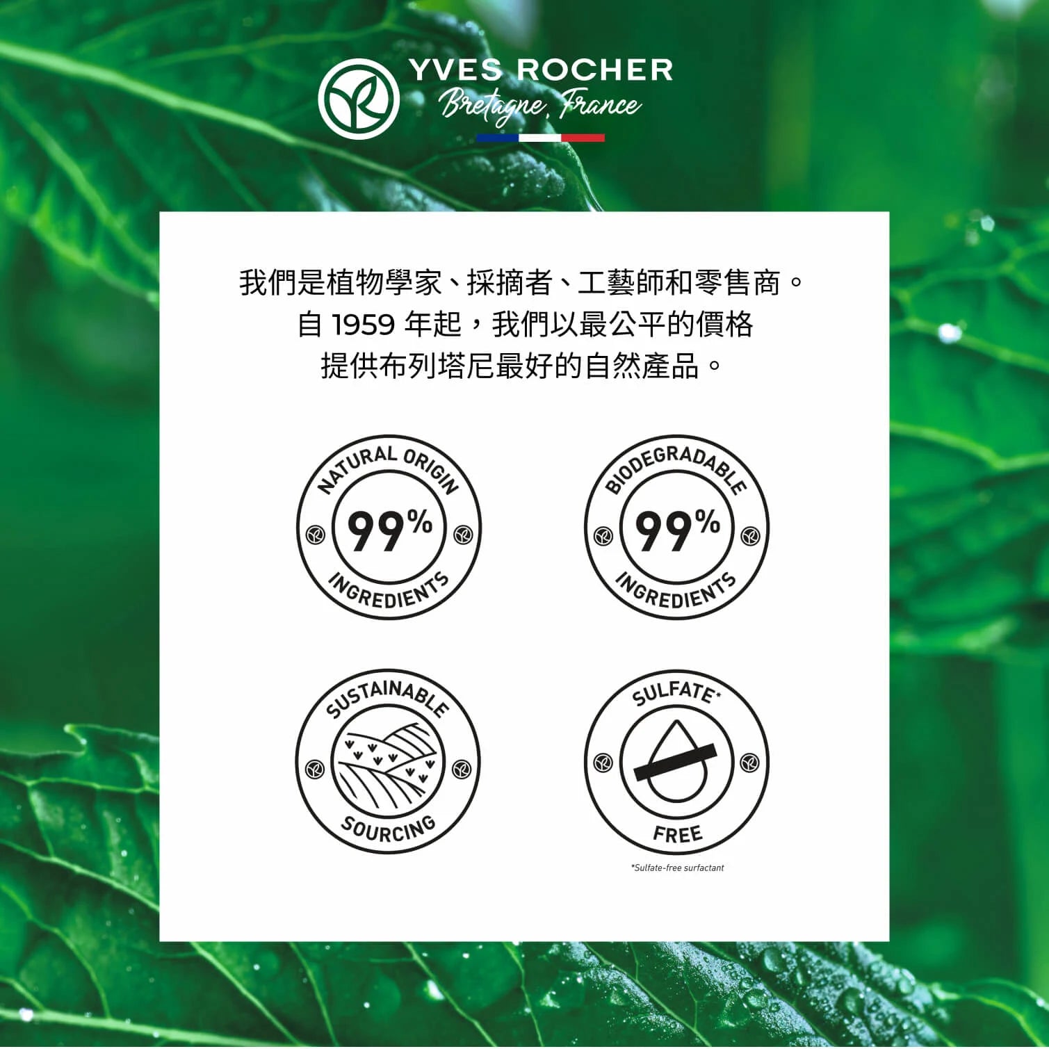 有機薄荷深層淨肌磨砂霜 75ml