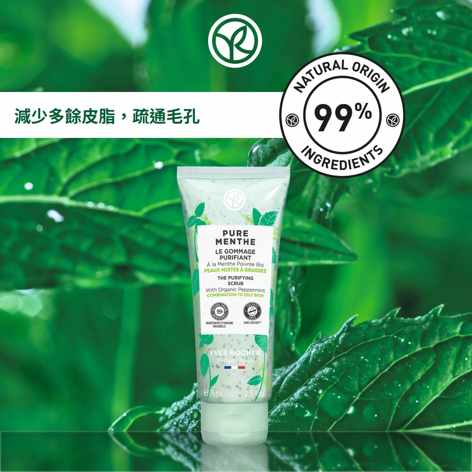 Pure Menthe The Purifying Scrub 75ml