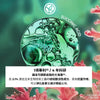 [會員專享預售] 平衡淨肌祛瑕精華 30ml