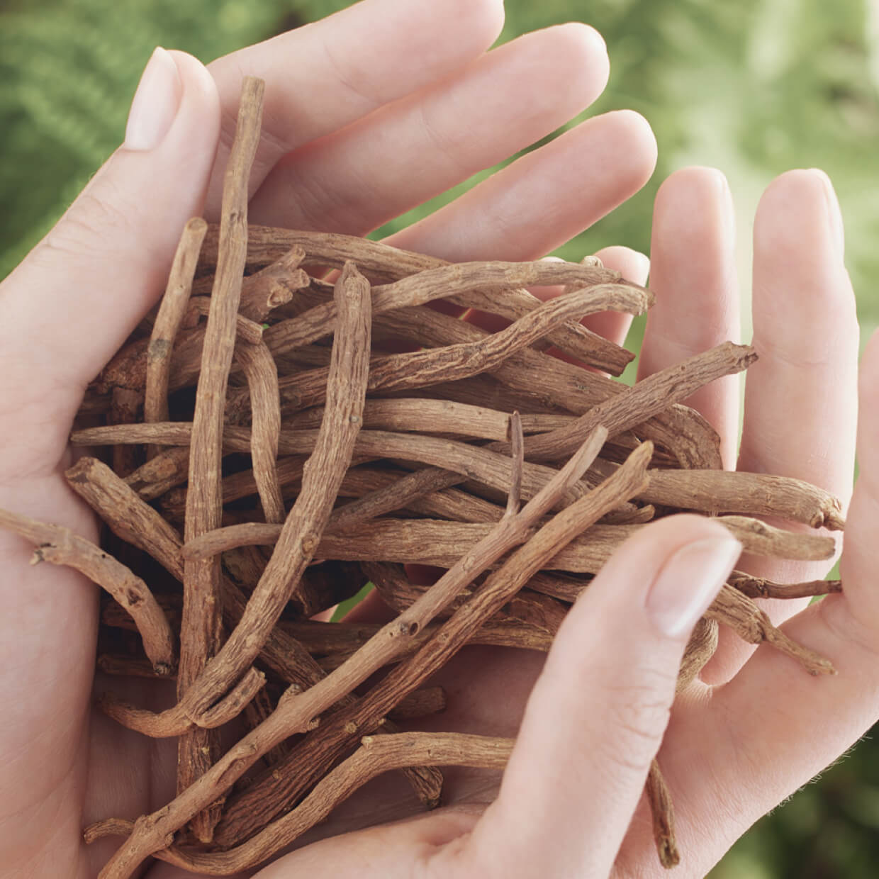 Mattifying Boreal Tea Powder Treatment