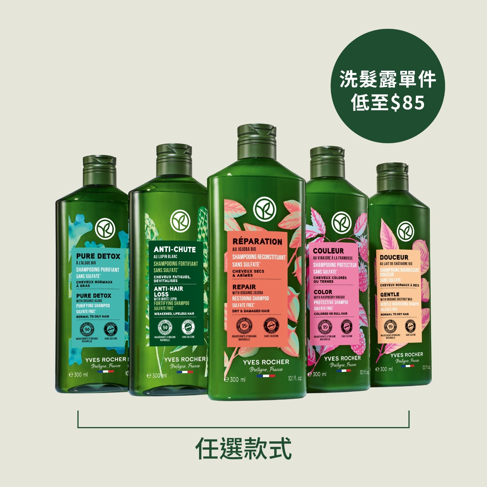 [新會員限定] 天然植萃洗髮露 300ml