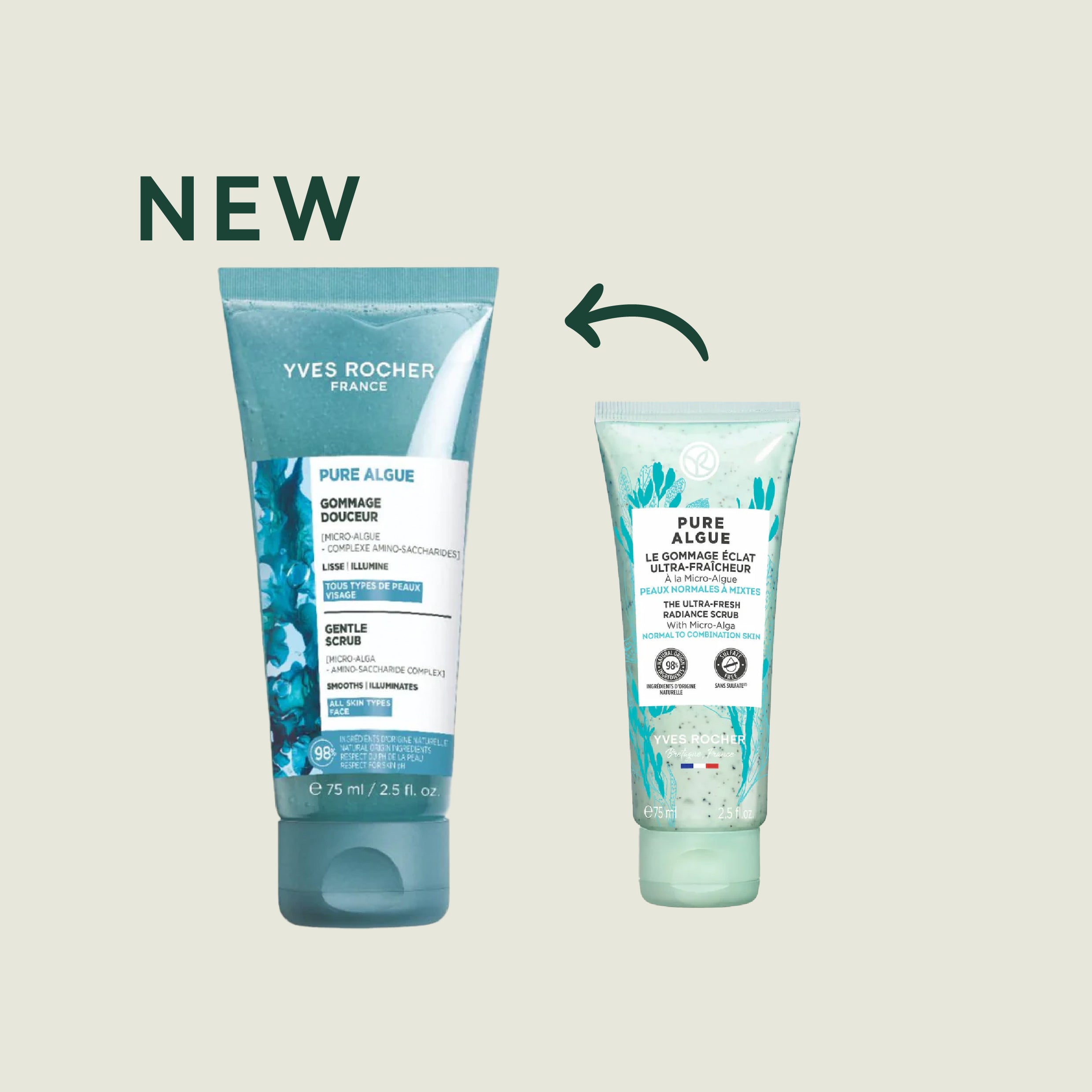 Pure Algue Gentle Scrub 75ML